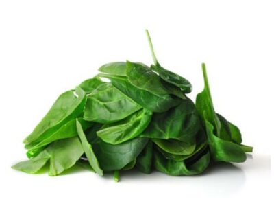 Spinat Blätter